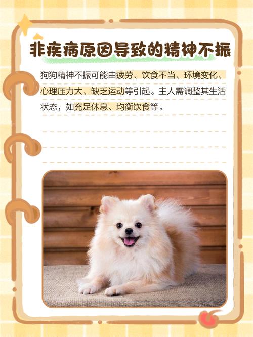 狗狗不活泼怎么办_狗狗不活泼怎么办视频