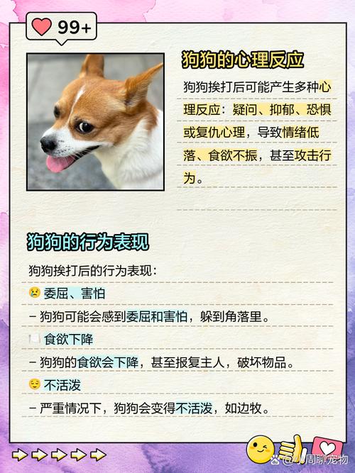 狗狗不活泼怎么办_狗狗不活泼怎么办视频-第2张图片-后鲨宠物 狗狗不活泼怎么办_狗狗不活泼怎么办视频-第2张图片-后鲨宠物