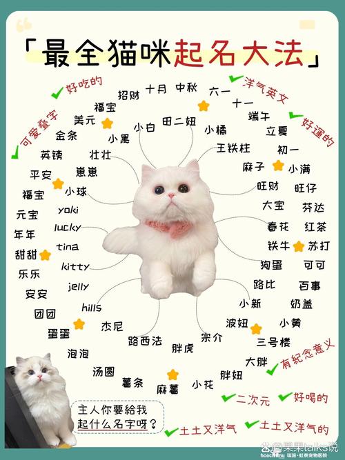 猫咪名字可爱洋气_猫咪名字可爱洋气独一无二的-第3张图片-后鲨宠物 猫咪名字可爱洋气_猫咪名字可爱洋气独一无二的-第3张图片-后鲨宠物