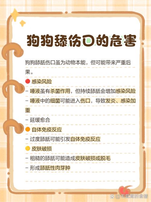  怎么防止狗狗舔伤口，防止狗狗舔伤口的工具-第5张图片-后鲨宠物