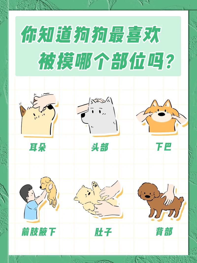  怎么判断狗狗是否冷，怎么能看出狗狗冷不冷