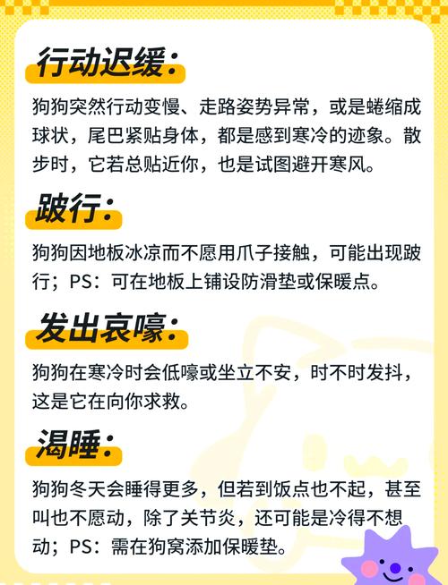  怎么判断狗狗是否冷，怎么能看出狗狗冷不冷-第4张图片-后鲨宠物