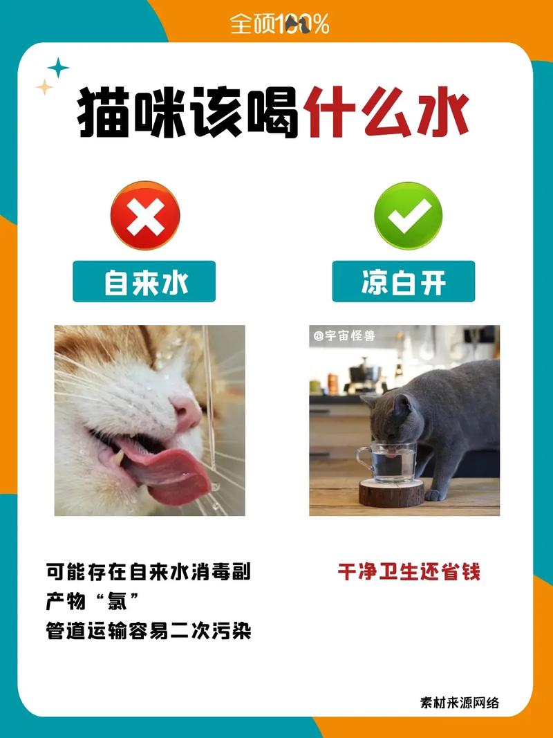 猫咪能不能喝自来水,猫可不可以喝自来水?-第4张图片-后鲨宠物 猫咪能不能喝自来水,猫可不可以喝自来水?-第4张图片-后鲨宠物