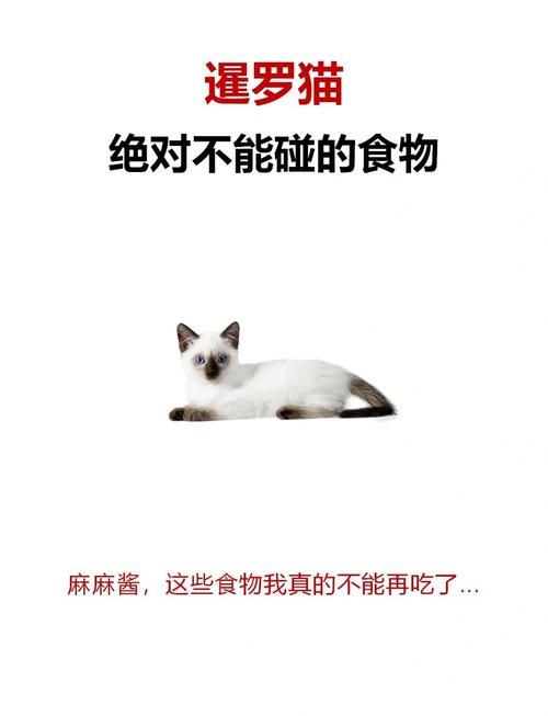 猫咪能吃芝麻吗,猫能吃芝麻糊吗?-第3张图片-后鲨宠物 猫咪能吃芝麻吗,猫能吃芝麻糊吗?-第3张图片-后鲨宠物