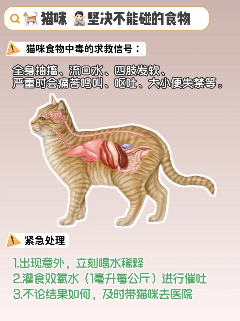 猫咪能吃芝麻吗,猫能吃芝麻糊吗?-第4张图片-后鲨宠物 猫咪能吃芝麻吗,猫能吃芝麻糊吗?-第4张图片-后鲨宠物