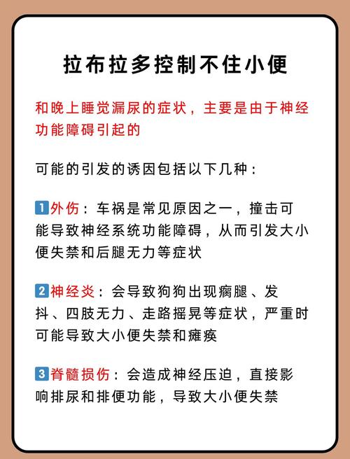 狗狗拉不出尿怎么办，狗狗撒不出尿