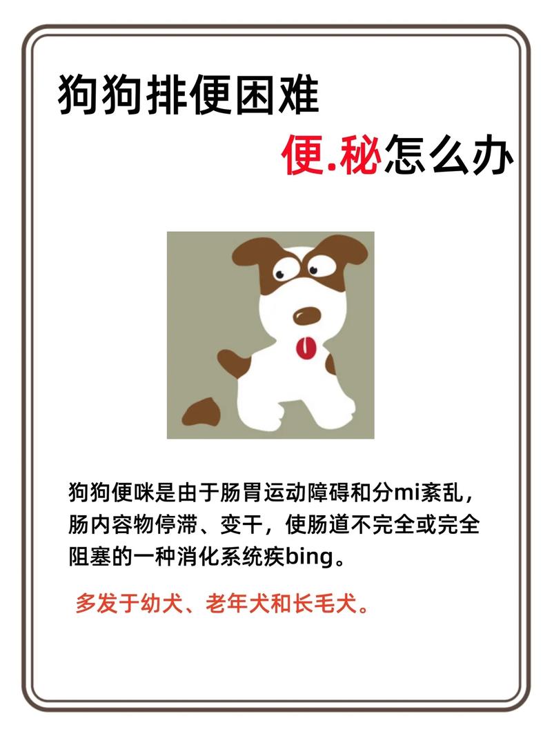 狗狗三天不拉屎怎么办_狗狗三天不拉屎了-第1张图片-后鲨宠物