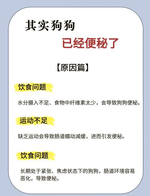 狗狗三天不拉屎怎么办_狗狗三天不拉屎了-第2张图片-后鲨宠物