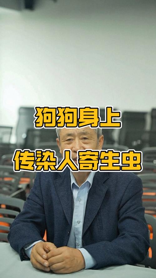 狗狗寄生虫会传染人吗_怎样测自己有无寄生虫-第2张图片-后鲨宠物 狗狗寄生虫会传染人吗_怎样测自己有无寄生虫-第2张图片-后鲨宠物