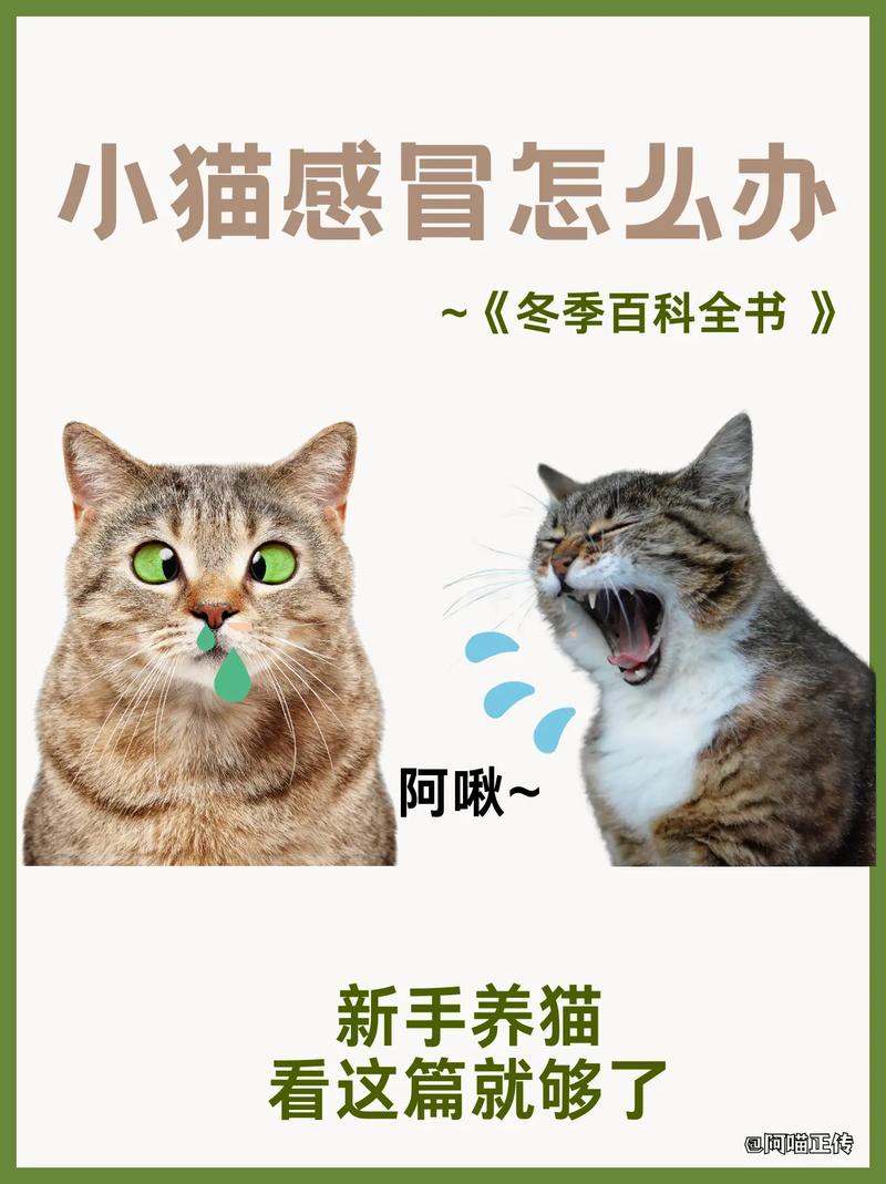 猫咪感冒多久能好,猫咪感冒持续多久?-第1张图片-后鲨宠物 猫咪感冒多久能好,猫咪感冒持续多久?-第1张图片-后鲨宠物