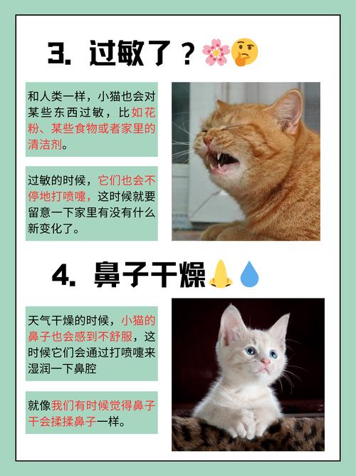 猫咪感冒多久能好,猫咪感冒持续多久?-第2张图片-后鲨宠物 猫咪感冒多久能好,猫咪感冒持续多久?-第2张图片-后鲨宠物