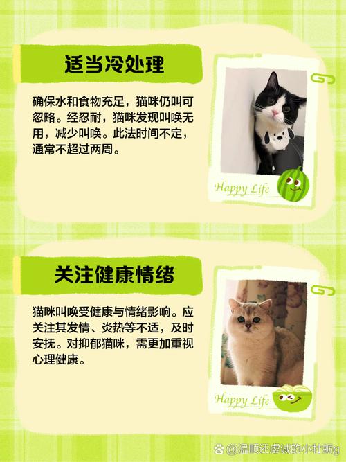 猫咪关在笼子里一直叫_猫咪关在笼子里一直叫怎么办-第4张图片-后鲨宠物 猫咪关在笼子里一直叫_猫咪关在笼子里一直叫怎么办-第4张图片-后鲨宠物