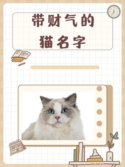 猫猫名字大全_猫猫名字大全仙气-第5张图片-后鲨宠物 猫猫名字大全_猫猫名字大全仙气-第5张图片-后鲨宠物