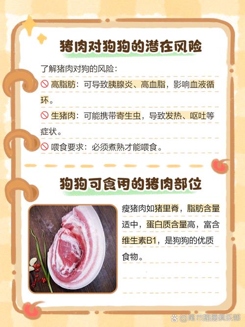 狗狗能吃猪肉吗,狗狗能吃猪肉吗怎样吃比较好-第5张图片-后鲨宠物 狗狗能吃猪肉吗,狗狗能吃猪肉吗怎样吃比较好-第5张图片-后鲨宠物