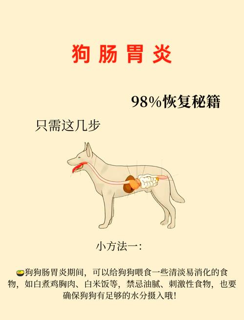 狗狗肠胃炎在家自救方法,狗狗肠胃炎能自愈吗-第1张图片-后鲨宠物 狗狗肠胃炎在家自救方法,狗狗肠胃炎能自愈吗-第1张图片-后鲨宠物