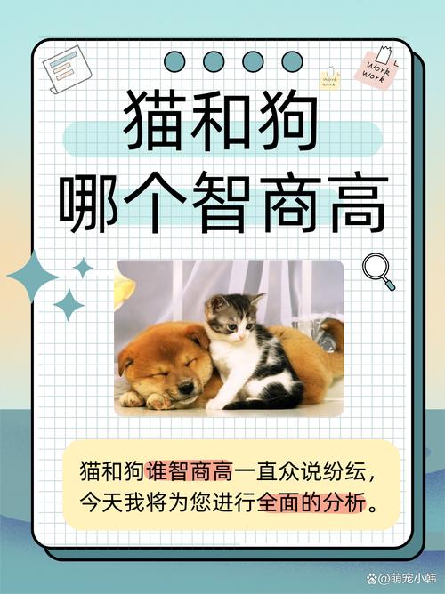 猫咪和狗狗哪个更聪明,猫和狗哪个比较聪明-第1张图片-后鲨宠物 猫咪和狗狗哪个更聪明,猫和狗哪个比较聪明-第1张图片-后鲨宠物