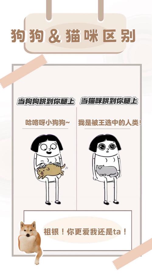 猫咪和狗狗哪个更聪明,猫和狗哪个比较聪明-第2张图片-后鲨宠物 猫咪和狗狗哪个更聪明,猫和狗哪个比较聪明-第2张图片-后鲨宠物