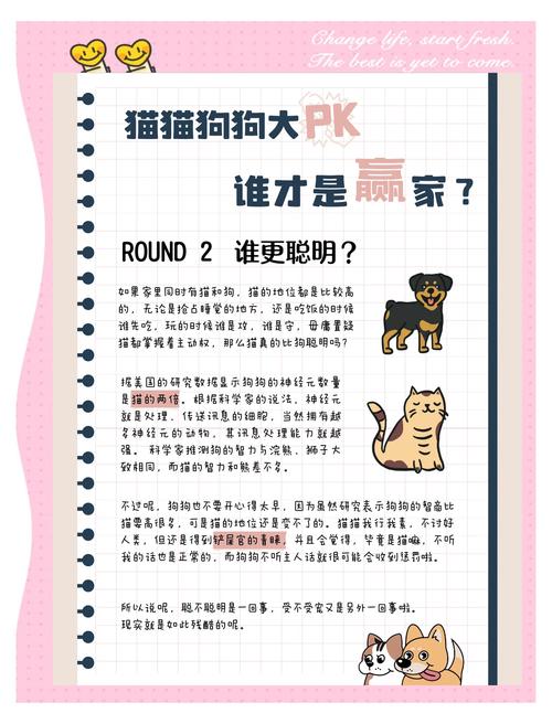 猫咪和狗狗哪个更聪明,猫和狗哪个比较聪明-第5张图片-后鲨宠物 猫咪和狗狗哪个更聪明,猫和狗哪个比较聪明-第5张图片-后鲨宠物