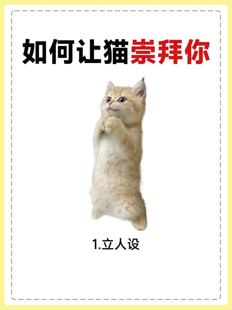 猫咪讨厌你的表现_猫咪对话翻译器-第1张图片-后鲨宠物 猫咪讨厌你的表现_猫咪对话翻译器-第1张图片-后鲨宠物