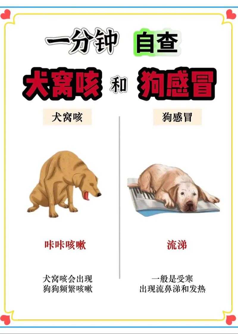 狗狗咳嗽流鼻涕怎么办_狗咳嗽留鼻涕怎么办-第3张图片-后鲨宠物 狗狗咳嗽流鼻涕怎么办_狗咳嗽留鼻涕怎么办-第3张图片-后鲨宠物