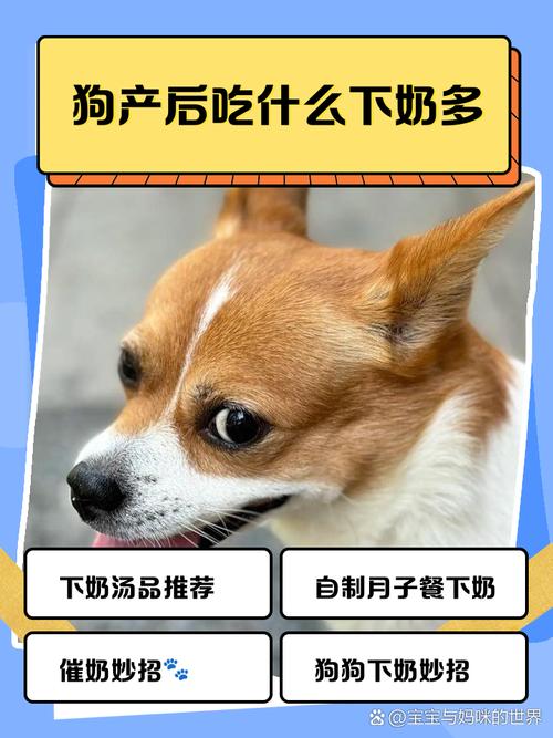 狗狗吃什么奶水多,狗狗吃什么奶水多一点-第1张图片-后鲨宠物 狗狗吃什么奶水多,狗狗吃什么奶水多一点-第1张图片-后鲨宠物