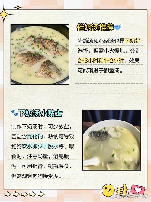 狗狗吃什么奶水多,狗狗吃什么奶水多一点-第2张图片-后鲨宠物 狗狗吃什么奶水多,狗狗吃什么奶水多一点-第2张图片-后鲨宠物