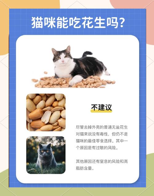 猫咪可以吃花生吗_猫可以吃花生米么-第2张图片-后鲨宠物 猫咪可以吃花生吗_猫可以吃花生米么-第2张图片-后鲨宠物