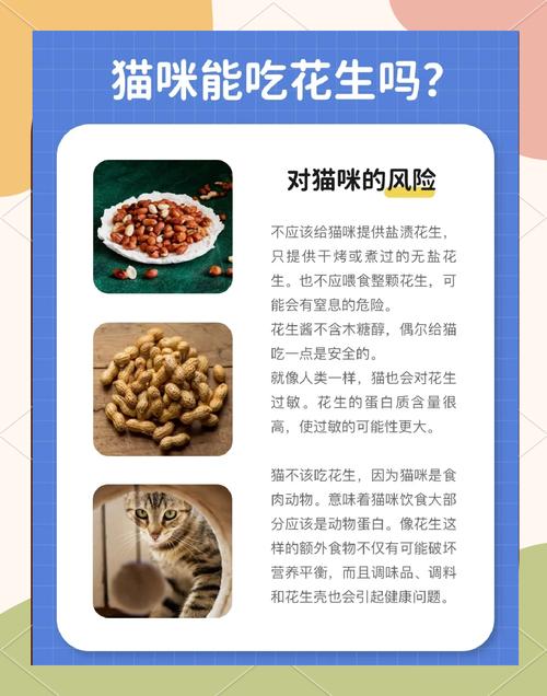 猫咪可以吃花生吗_猫可以吃花生米么-第3张图片-后鲨宠物 猫咪可以吃花生吗_猫可以吃花生米么-第3张图片-后鲨宠物