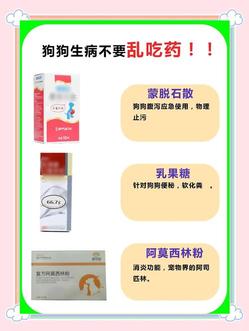 罗红霉素狗狗可以用吗,狗狗能用罗红霉素软膏吗?-第3张图片-后鲨宠物 罗红霉素狗狗可以用吗,狗狗能用罗红霉素软膏吗?-第3张图片-后鲨宠物