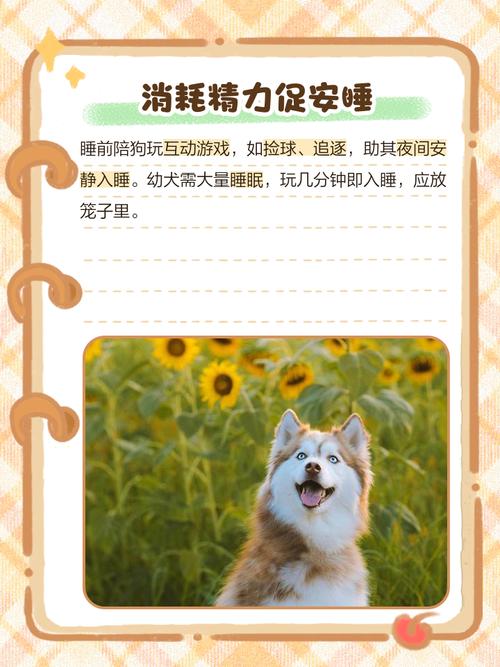 狗狗爱叫怎么办,狗总是爱叫?-第4张图片-后鲨宠物 狗狗爱叫怎么办,狗总是爱叫?-第4张图片-后鲨宠物