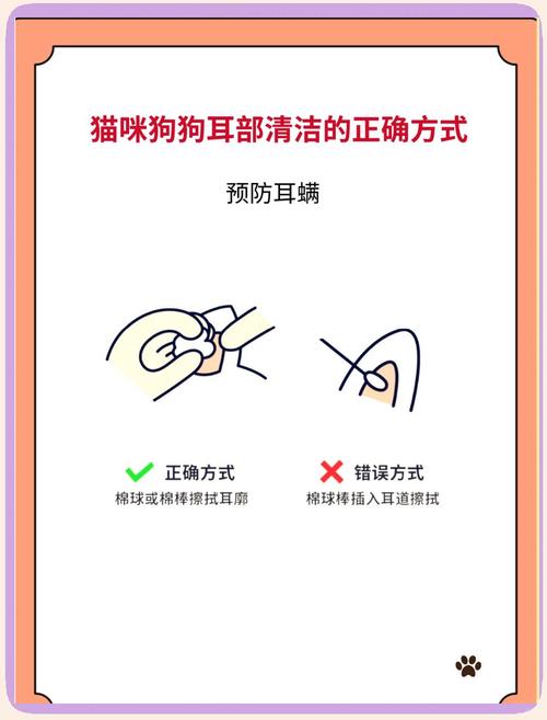  怎么给狗狗掏耳朵，怎么给狗狗掏耳屎