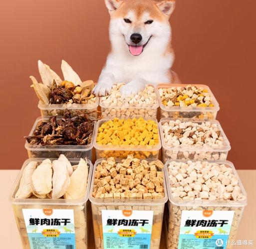 狗狗零食哪个牌子比较好,狗狗零食哪种好?-第5张图片-后鲨宠物 狗狗零食哪个牌子比较好,狗狗零食哪种好?-第5张图片-后鲨宠物