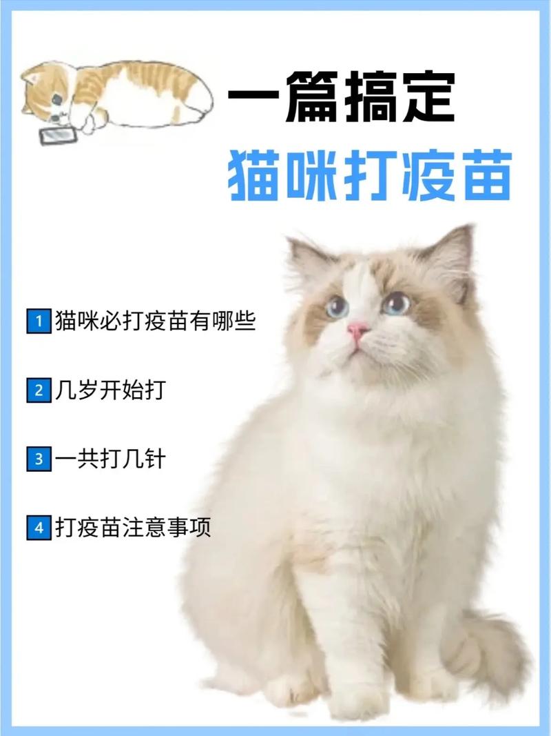 猫咪疫苗多久打一次_猫咪疫苗多久打一次?-第3张图片-后鲨宠物 猫咪疫苗多久打一次_猫咪疫苗多久打一次?-第3张图片-后鲨宠物