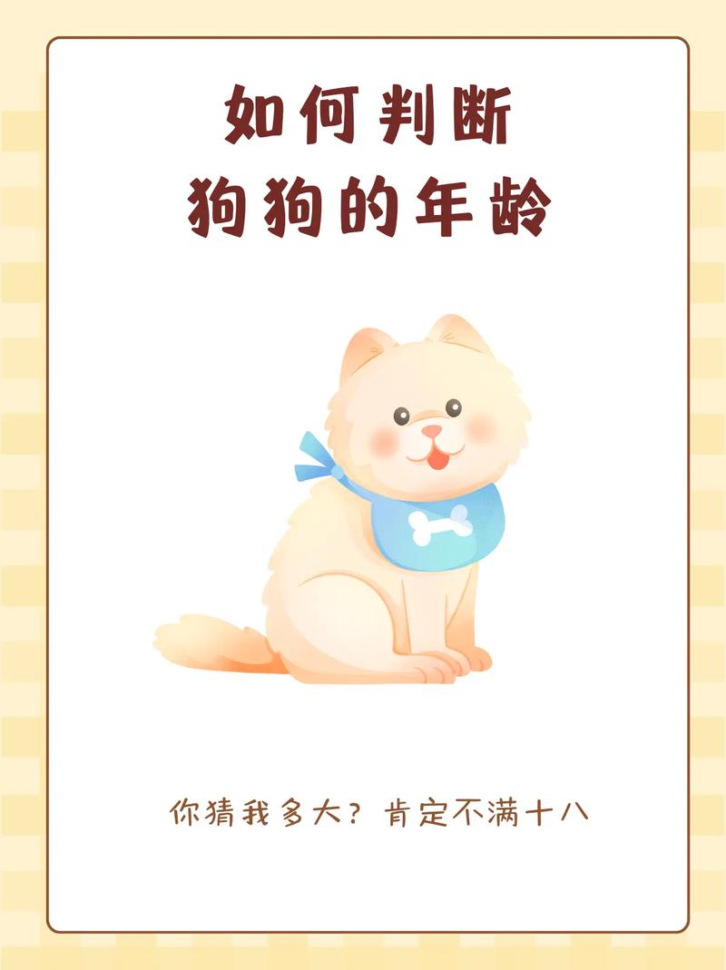 怎么看狗狗多大了,怎么能看出狗狗多大了?-第5张图片-后鲨宠物 怎么看狗狗多大了,怎么能看出狗狗多大了?-第5张图片-后鲨宠物