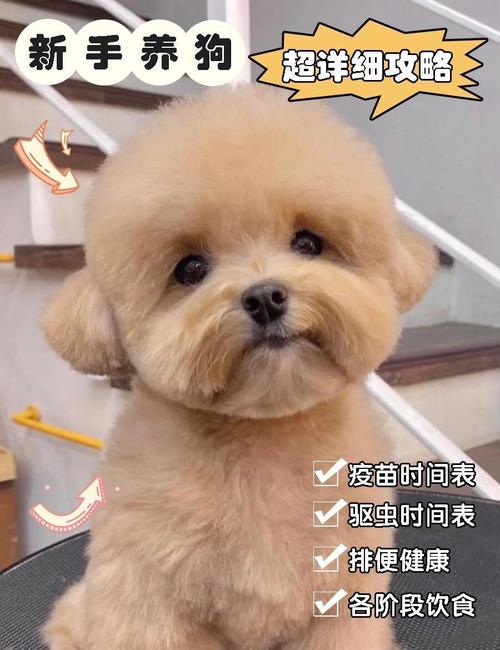 狗狗打疫苗的作用_狗狗打疫苗的作用是什么