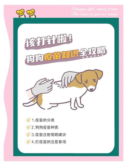 狗狗打疫苗的作用_狗狗打疫苗的作用是什么-第2张图片-后鲨宠物 狗狗打疫苗的作用_狗狗打疫苗的作用是什么-第2张图片-后鲨宠物