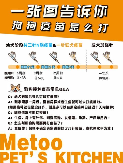 狗狗打疫苗的作用_狗狗打疫苗的作用是什么-第3张图片-后鲨宠物 狗狗打疫苗的作用_狗狗打疫苗的作用是什么-第3张图片-后鲨宠物
