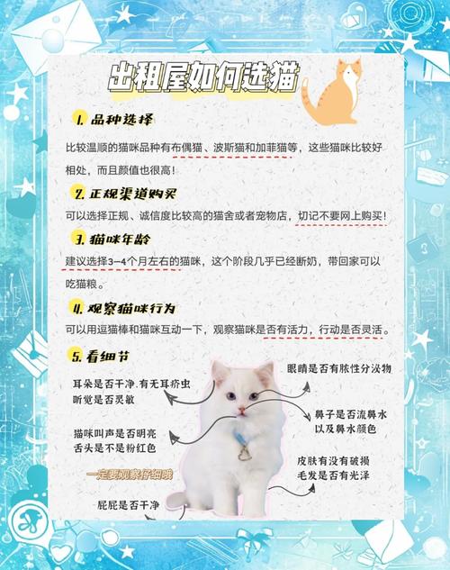 如何让猫咪晚上不叫,怎么样可以让猫咪晚上不叫-第3张图片-后鲨宠物 如何让猫咪晚上不叫,怎么样可以让猫咪晚上不叫-第3张图片-后鲨宠物