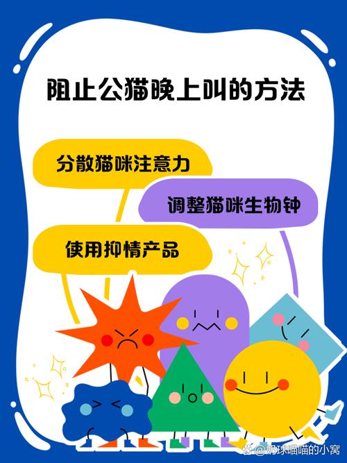 如何让猫咪晚上不叫,怎么样可以让猫咪晚上不叫-第6张图片-后鲨宠物 如何让猫咪晚上不叫,怎么样可以让猫咪晚上不叫-第6张图片-后鲨宠物