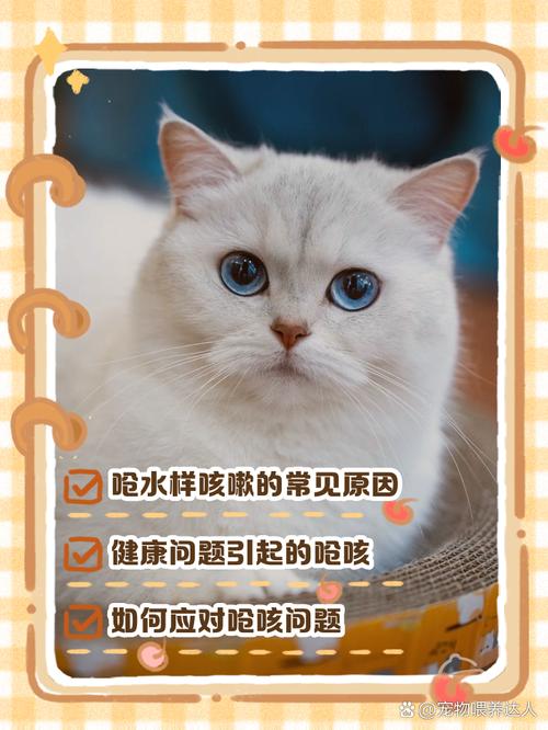 猫咪喝完水咳嗽_猫咪喝完水咳嗽正常吗-第1张图片-后鲨宠物 猫咪喝完水咳嗽_猫咪喝完水咳嗽正常吗-第1张图片-后鲨宠物