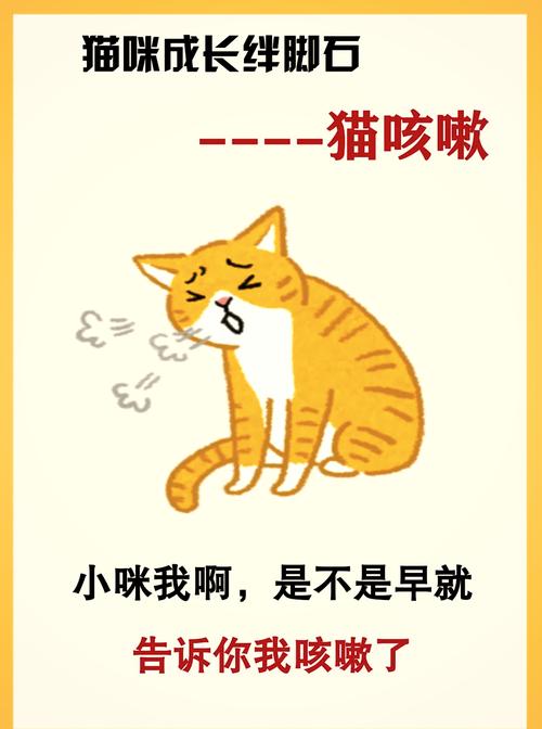 猫咪喝完水咳嗽_猫咪喝完水咳嗽正常吗-第3张图片-后鲨宠物 猫咪喝完水咳嗽_猫咪喝完水咳嗽正常吗-第3张图片-后鲨宠物
