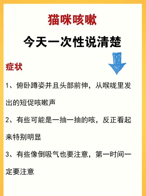 猫咪喝完水咳嗽_猫咪喝完水咳嗽正常吗-第2张图片-后鲨宠物 猫咪喝完水咳嗽_猫咪喝完水咳嗽正常吗-第2张图片-后鲨宠物