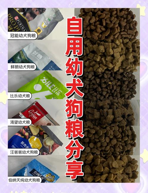 肠胃不好的狗狗吃什么狗粮_肠胃不好的小狗吃啥-第3张图片-后鲨宠物 肠胃不好的狗狗吃什么狗粮_肠胃不好的小狗吃啥-第3张图片-后鲨宠物