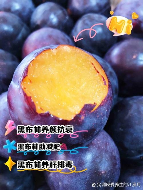 狗狗能吃黑布林吗_猫可以吃黑布林吗-第3张图片-后鲨宠物 狗狗能吃黑布林吗_猫可以吃黑布林吗-第3张图片-后鲨宠物