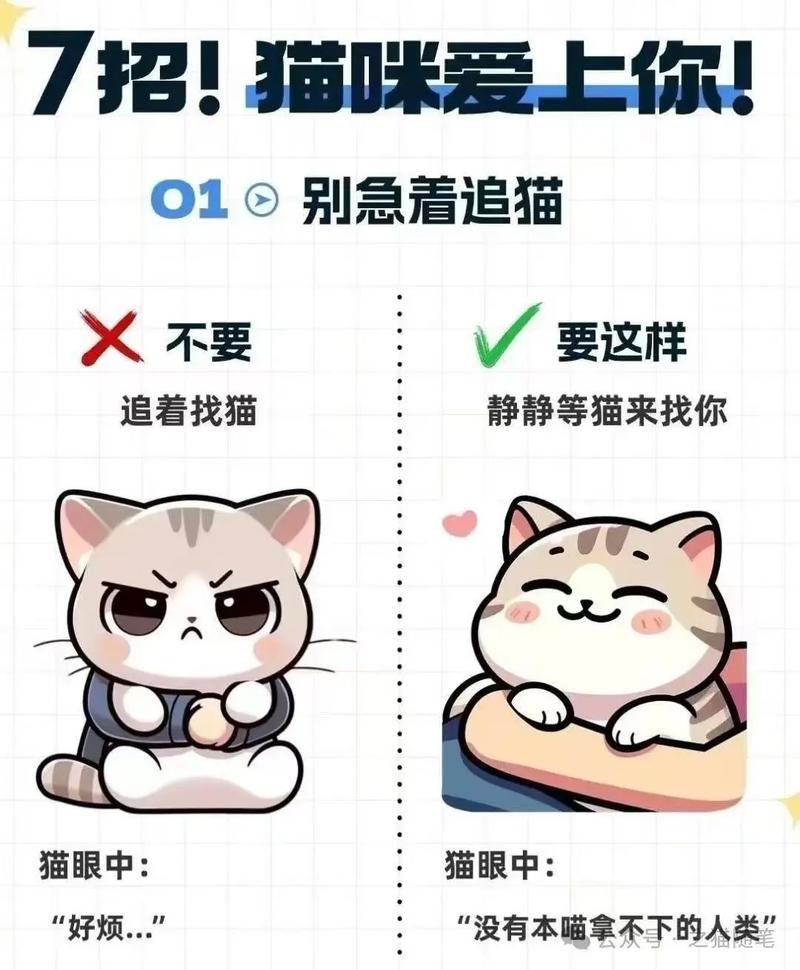 怎么样让猫猫喜欢你,怎样才能让猫咪喜欢你??-第2张图片-后鲨宠物 怎么样让猫猫喜欢你,怎样才能让猫咪喜欢你??-第2张图片-后鲨宠物