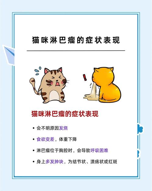 猫咪淋巴瘤早期症状,猫咪淋巴瘤的症状-第1张图片-后鲨宠物 猫咪淋巴瘤早期症状,猫咪淋巴瘤的症状-第1张图片-后鲨宠物
