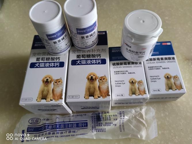 狗狗尿道发炎吃什么药,狗狗尿道炎用什么药-第3张图片-后鲨宠物 狗狗尿道发炎吃什么药,狗狗尿道炎用什么药-第3张图片-后鲨宠物