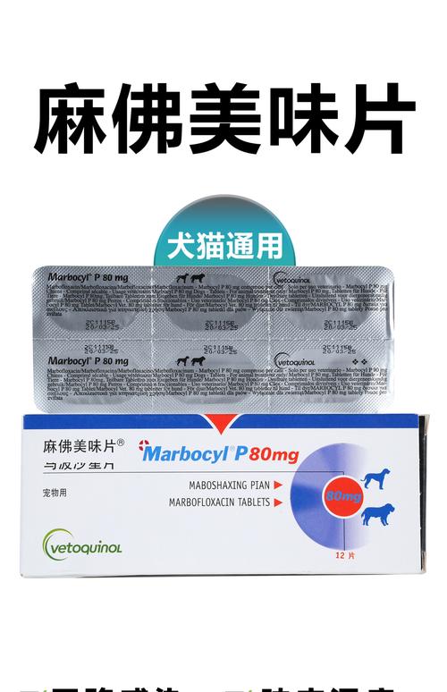 狗狗尿道发炎吃什么药,狗狗尿道炎用什么药-第6张图片-后鲨宠物 狗狗尿道发炎吃什么药,狗狗尿道炎用什么药-第6张图片-后鲨宠物