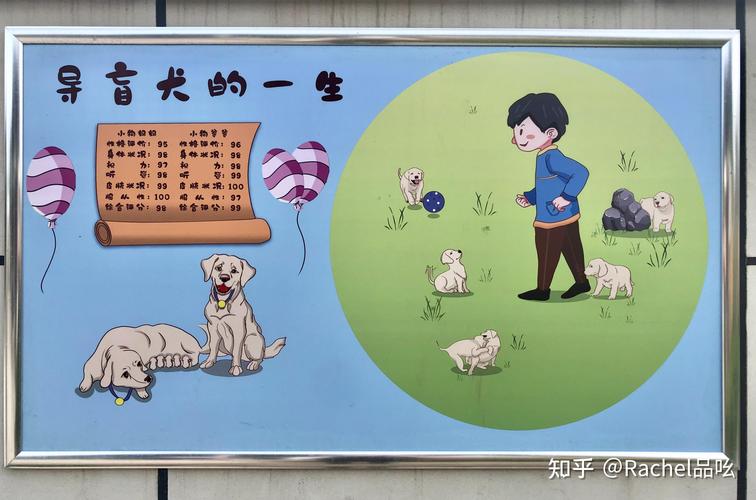 狗狗认识回家的路吗,狗认识家吗??-第1张图片-后鲨宠物 狗狗认识回家的路吗,狗认识家吗??-第1张图片-后鲨宠物