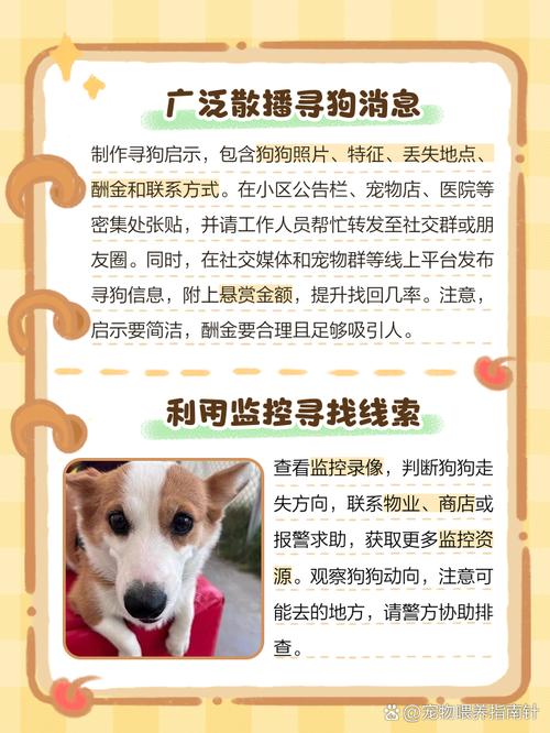 狗狗认识回家的路吗,狗认识家吗??-第3张图片-后鲨宠物 狗狗认识回家的路吗,狗认识家吗??-第3张图片-后鲨宠物